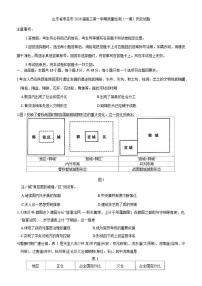 2026届山东省枣庄市高三上第一学期质量检测（一调）历史试题（含答案）