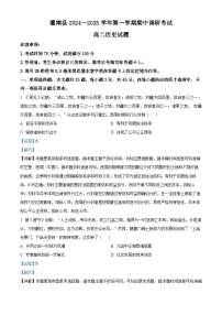 江苏省连云港市灌南县2024-2025学年高二上学期11月期中考试历史试题（含解析）