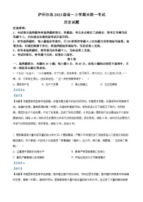 四川省泸州市2023-2024学年高一上学期期末考试历史试题 含解析