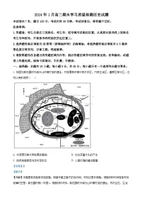 山东省济南市2022-2023学年高二下学期期末考试历史试题 含解析