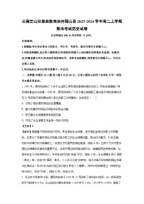 【历史】云南文山壮族苗族自治州砚山县2025-2026学年高二上学期期末考试试卷（学生版+解析版）