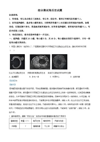 黑龙江省龙东地区2024-2025学年高一上学期期末考试历史试题 含解析