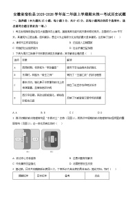 安徽安庆市宿松县2025-2026学年高二上学期期末统一考试历史试题（试卷+解析）