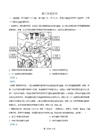 湖北省武汉市2025-2026学年高三上学期元月调考历史试卷（Word版附解析）
