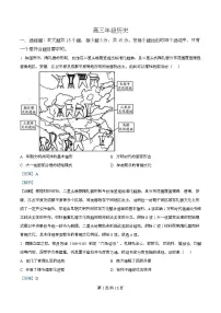 湖北省武汉市2025-2026学年高三上学期元月调考历史试卷（Word版附解析）