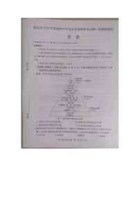 2026届河北唐山市高三下学期第一次模拟演练历史试题含答案解析