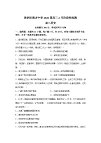 湖南株洲市南方中学2025-2026学年高三下学期2月阶段性检测历史试题含答案
