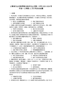 2025-2026学年度云南省文山壮族苗族自治州文山市第一中学高一上学期11月月考历史试题（解析版）