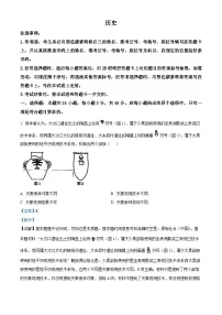 2025年1月高三上学期云南省普通高等学校招生考试适应性测试（八省联考）历史试题 Word版含解析