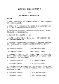 湖北宜昌市二模2026届高三下学期3月调研考试 历史试题+答案