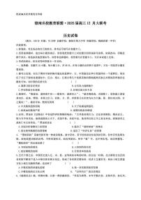 湖南省名校教育联盟2025届高三上学期12月大联考历史试卷（含答案）