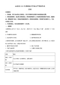 精编：2020年新高考全国1卷历史高考真题及答案解析（原卷+解析卷）（山东）