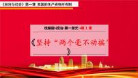 人教统编版必修2 经济与社会坚持“两个毫不动摇”授课课件ppt