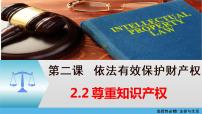 高中政治 (道德与法治)人教统编版选择性必修2 法律与生活第一单元 民事权利与义务第二课 依法有效保护财产权尊重知识产权图片课件ppt