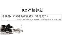 高中政治 (道德与法治)人教统编版必修3 政治与法治严格执法课文ppt课件