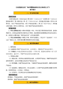 政治 (道德与法治)必修3 政治与法治严格执法教学设计