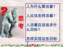 高中政治 (道德与法治)人教统编版必修4 哲学与文化价值与价值观教案配套ppt课件