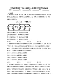 宁夏银川市重点中学2023届高三上学期第三次月考政治试卷(含答案)