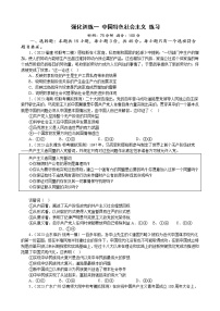 强化训练一 中国特色社会主义 练习 2022-2023学年统编版高三政治二轮复习专题练习
