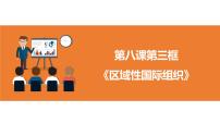 高中政治 (道德与法治)人教统编版选择性必修1 当代国际政治与经济区域性国际组织图片ppt课件