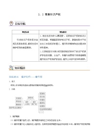 人教统编版选择性必修2 法律与生活尊重知识产权导学案