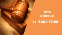 人教统编版选择性必修2 法律与生活第二单元 家庭与婚姻第六课 珍惜婚姻关系法律保护下的婚姻教课内容课件ppt