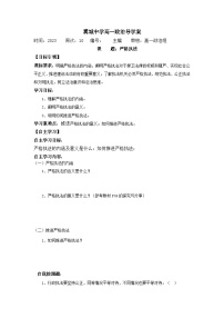 高中政治 (道德与法治)人教统编版必修3 政治与法治严格执法导学案