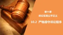 政治 (道德与法治)选择性必修2 法律与生活严格遵守诉讼程序课堂教学课件ppt