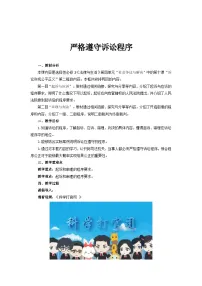 人教统编版选择性必修2 法律与生活严格遵守诉讼程序教学设计及反思