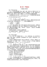 高中政治 (道德与法治)人教统编版必修3 政治与法治严格执法同步测试题