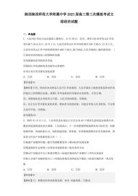 2023届陕西陕西师范大学附属中学高三第三次模拟考试文综政治试题（解析版）