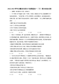 2022-2023学年安徽省合肥市六校联盟高一（下）期末政治试卷（含解析）