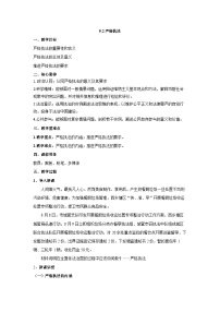 高中政治 (道德与法治)人教统编版必修3 政治与法治严格执法教案设计