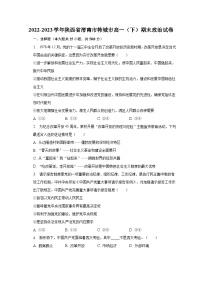 2022-2023学年陕西省渭南市韩城市高一(下)期末政治试卷(含解析)