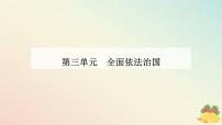 高中政治 (道德与法治)人教统编版必修3 政治与法治严格执法示范课ppt课件