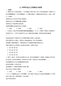 人教统编版必修1 中国特色社会主义科学社会主义的理论与实践一课一练