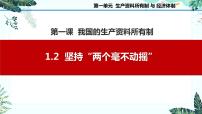 人教统编版必修2 经济与社会坚持“两个毫不动摇”课文配套课件ppt