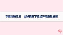 适用于新高考新教材2024版高考政治二轮复习专题突破练3全球视野下的经济高质量发展课件