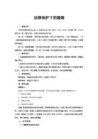 高中政治 (道德与法治)人教统编版选择性必修2 法律与生活法律保护下的婚姻教案