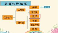 人教统编版保障各类物权课文配套ppt课件