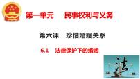 高中政治 (道德与法治)人教统编版选择性必修2 法律与生活第二单元 家庭与婚姻第六课 珍惜婚姻关系法律保护下的婚姻图文课件ppt