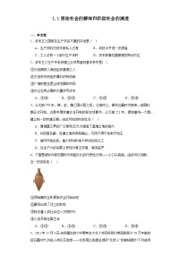 高中政治 (道德与法治)原始社会的解体和阶级社会的演进练习