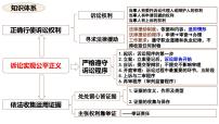 政治 (道德与法治)选择性必修2 法律与生活正确行使诉讼权利教课ppt课件