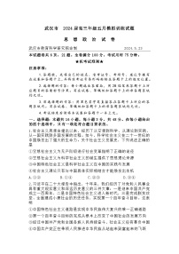 2024武汉高三年级五月模拟训练政治试卷含答案
