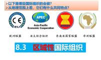 高中政治 (道德与法治)人教统编版选择性必修1 当代国际政治与经济区域性国际组织示范课ppt课件