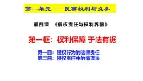 高中政治 (道德与法治)人教统编版选择性必修2 法律与生活权利保障 于法有据教案配套ppt课件