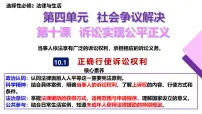 高中政治 (道德与法治)人教统编版选择性必修2 法律与生活正确行使诉讼权利背景图ppt课件