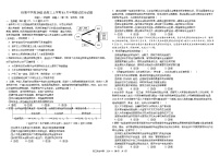 四川省成都市树德中学2024-2025学年高三上学期期中考试政治试题