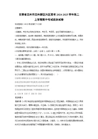 甘肃省兰州市兰州新区片区联考2024-2025学年高二上学期期中考试政治政治试卷[解析版]