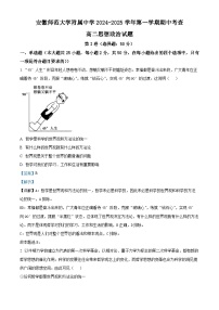 安徽省芜湖市师范大学附属中学2024-2025学年高二上学期期中考试政治试题（Word版附解析）